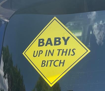 Baby Up In This Bitch Funny Baby on Board Vinyl Car Window Decal Sticker