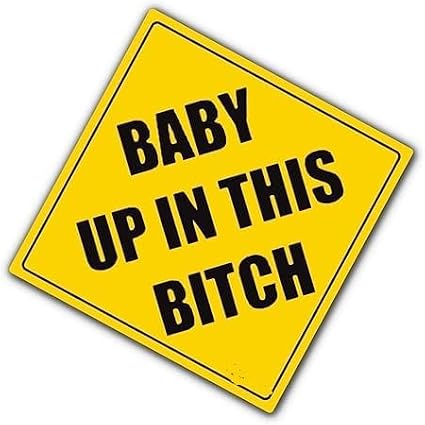 Baby Up In This Bitch Funny Baby on Board Vinyl Car Window Decal Sticker