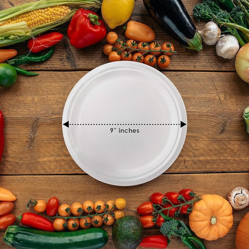Earth’s Dreams 100% Compostable 9" Paper Plates [100-Pack], Heavy-Duty Quality Disposable Biodegradable Eco-Friendly Plates, Sugarcane Bagasse