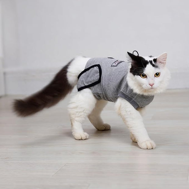 Doglemi Cat Surgery Recovery Suit Size S – Pure Cotton, Breathable, Post-Spay/Neuter & Wound Recovery Onesie | Cone Alternative