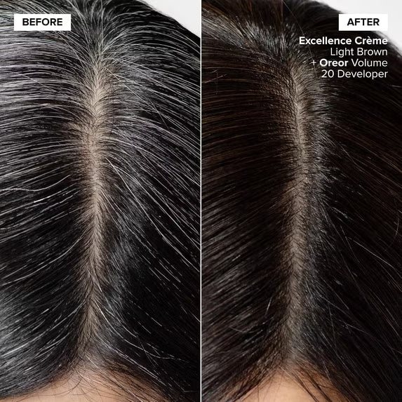 L'Oréal Technique Excellence Crème Permanent Hair Color, 6 Light Brown, 1.74 oz