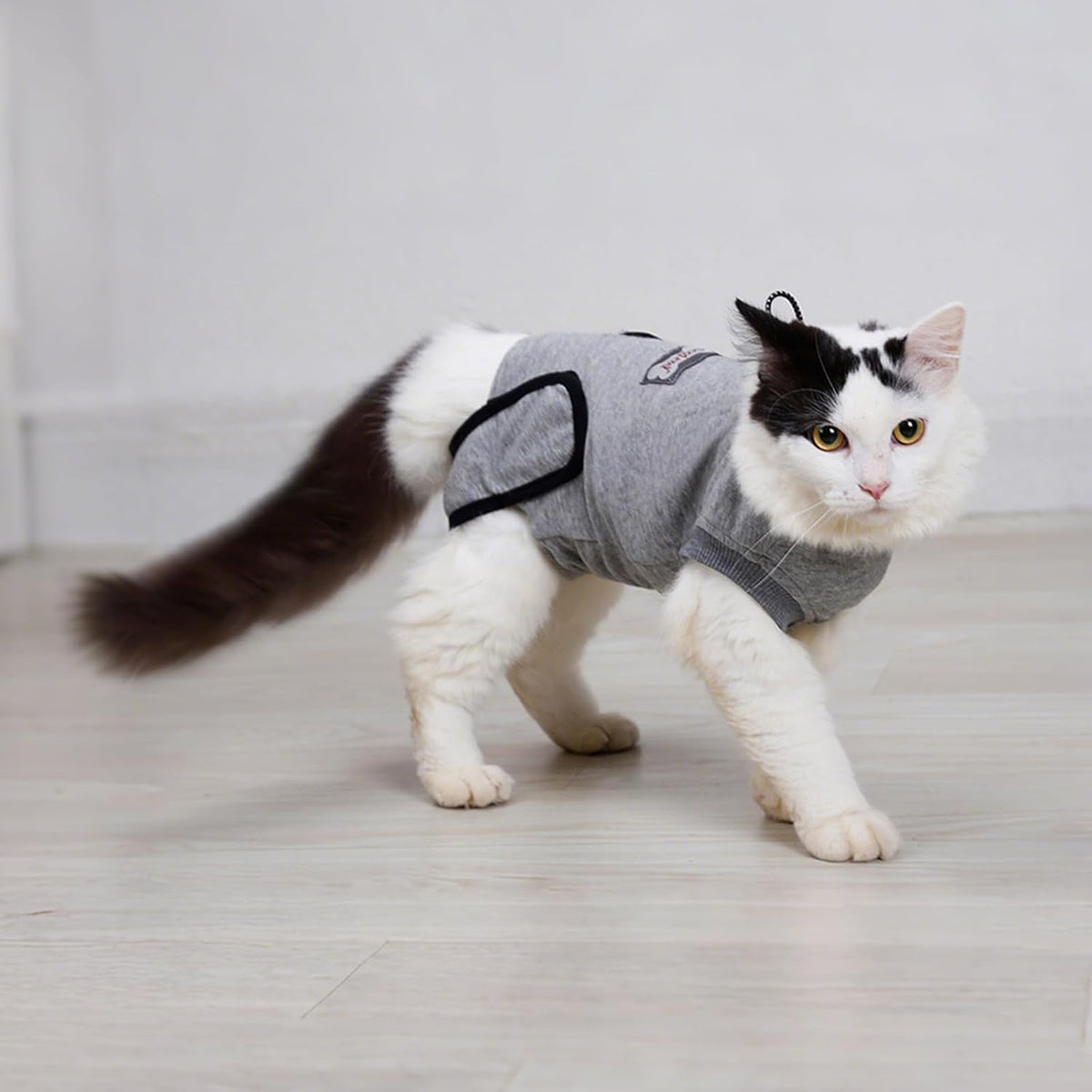 Doglemi Cat Surgery Recovery Suit Size S – Pure Cotton, Breathable, Post-Spay/Neuter & Wound Recovery Onesie | Cone Alternative