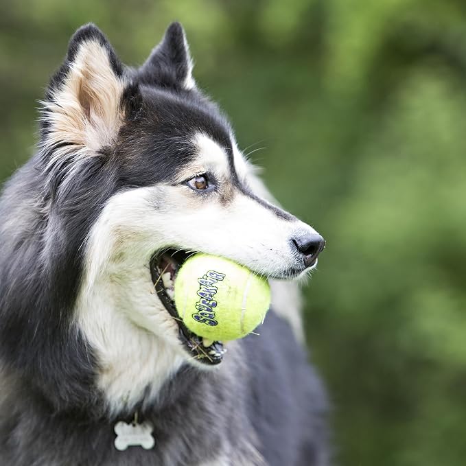 KONG SqueakAir Tennis Balls for Dogs, Medium – 6 Pack Squeaky Fetch Toys