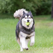 KONG SqueakAir Tennis Balls for Dogs, Medium – 6 Pack Squeaky Fetch Toys