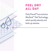 Prevail Daily Underwear for Women – Maximum Absorbency, Small 20–34 Inch Waist, 22 Count