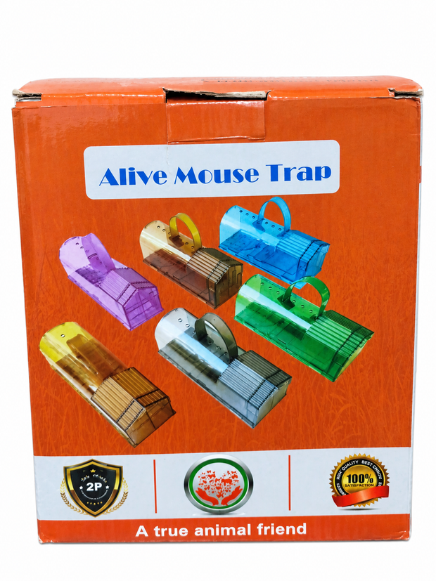 CTB Dealz Humane Live Mouse Trap 2-Pack – Large Reusable Catch-and-Release Traps, Green, ABS Plastic