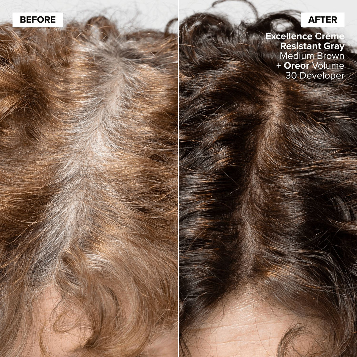 L'Oréal Excellence Crème Resistant Grays Hair Color, 6X Light Brown, 1.74 oz