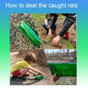 CTB Dealz Humane Live Mouse Trap 2-Pack – Large Reusable Catch-and-Release Traps, Green, ABS Plastic