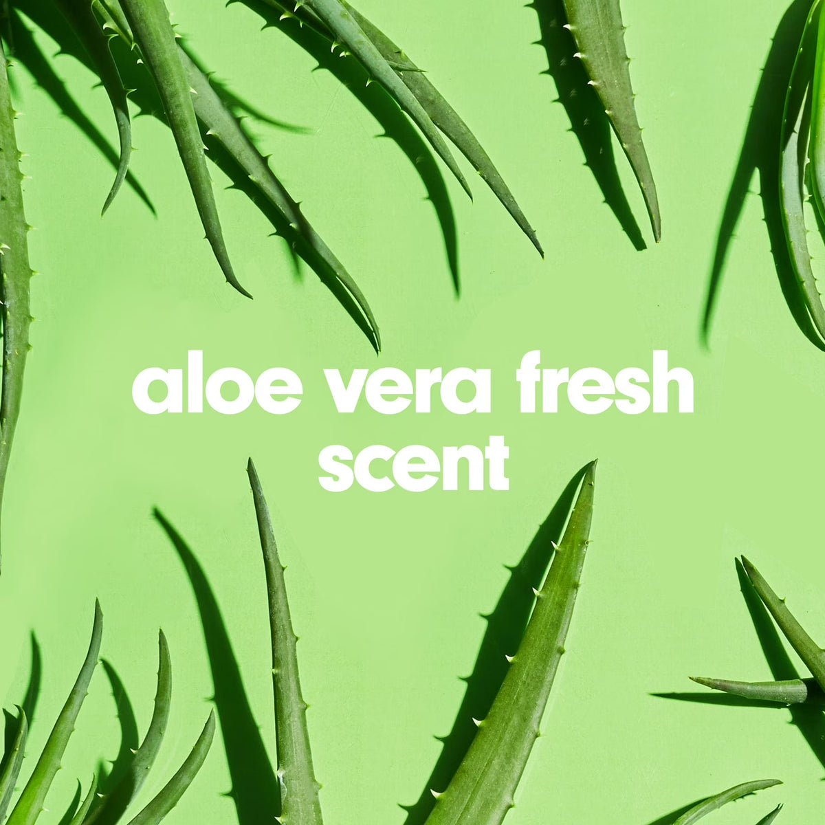 Softsoap Soothing Clean Aloe Vera Liquid Hand Soap – Moisturizing Hand Wash, Fresh Scent, 7.5 fl oz