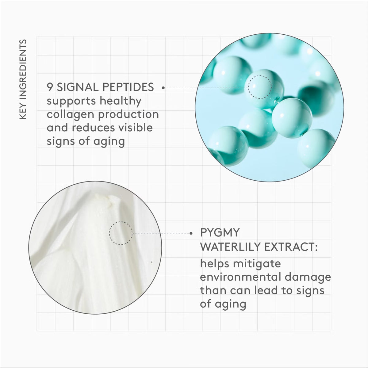 Drunk Elephant Protini Polypeptide Cream – Firming Face Moisturizer, 1.69 fl oz / 50 mL