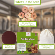 Raimarket Natural Cedar Rings for Clothes Storage, Cedarwood, 30 Pack